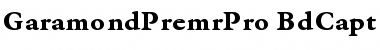 Garamond Premier Pro Bold Caption Font