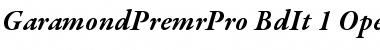 Garamond Premier Pro Bold Italic