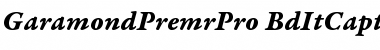 Garamond Premier Pro Bold Italic Caption Font