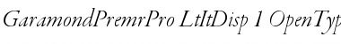 Garamond Premier Pro Light Italic Display