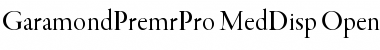 Garamond Premier Pro Medium Display Font