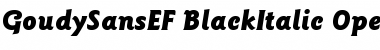 GoudySansEF BlackItalic Font