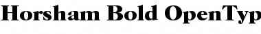 Horsham-Bold Regular Font