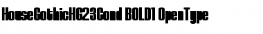 HouseGothicHG23Cond BOLD1 Font