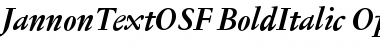 Jannon Text OSF Bold Italic Font