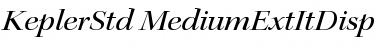 Kepler Std Medium Extended Italic Display Font