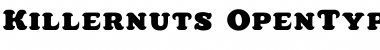 Download Killernuts Font Download Killernuts Font