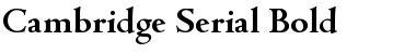 Cambridge-Serial Bold Font