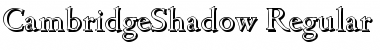 Download CambridgeShadow Font