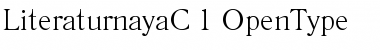 LiteraturnayaC Font