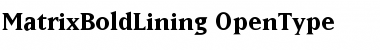 MatrixBoldLining Regular Font