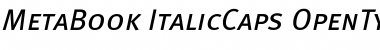 Meta Book Caps Italic