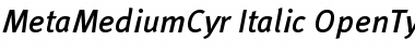Download MetaMediumCyr-Italic Font