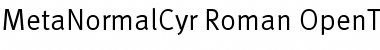 MetaNormalCyr-Roman Regular Font