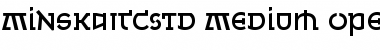 Minska ITC Std Font