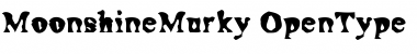 Moonshine Font