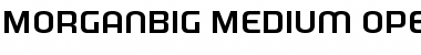 MorganBig Medium Font