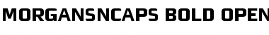 MorganSnCaps Font