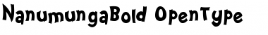 Nanumunga Bold Bold Font
