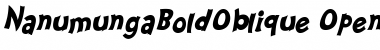 Nanumunga Bold Oblique Bold Oblique Font
