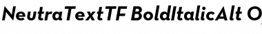 Neutra Text TF Alt Bold Italic Font