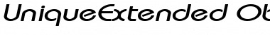 UniqueExtended Oblique Font