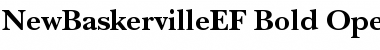 NewBaskervilleEF Font