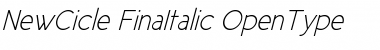 New Cicle Fina Italic