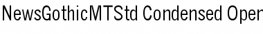 News Gothic MT Std Font