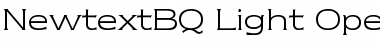 Download Newtext BQ Font