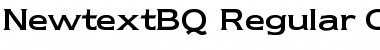 Download Newtext BQ Font