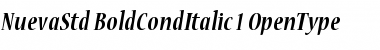Nueva Std Bold Condensed Italic