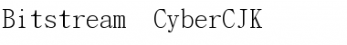 Bitstream CyberCJK Roman Font
