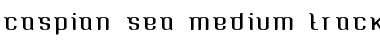 Download Caspian Sea Med Tracked Font Download Caspian Sea Med Tracked Font