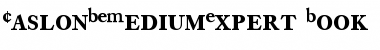 CaslonBEMediumExpert-Book Font