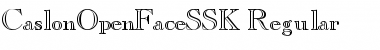 CaslonOpenFaceSSK Regular Font