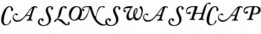 CaslonSwashCapsSSK Font