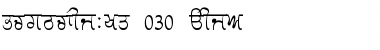 Download GurmukhiLys 030 Thin Font