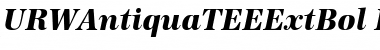 URWAntiquaTEEExtBol Italic