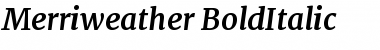 Merriweather Bold Italic Font