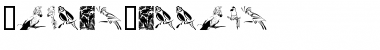 Download MoyrasParrots Font Download MoyrasParrots Font