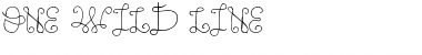 Download One Wild Line Font Download One Wild Line Font