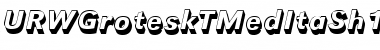 Download URWGroteskTMedItaSh1 Font Download URWGroteskTMedItaSh1 Font