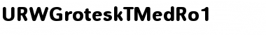 Download URWGroteskTMedRo1 Font Download URWGroteskTMedRo1 Font