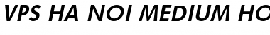 VPS Ha Noi Medium Hoa Bold Italic Font