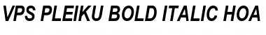 VPS Pleiku Hoa Bold Italic Font