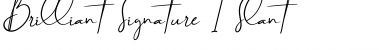 Download Brilliant Signature 1 Slant Font Download Brilliant Signature 1 Slant Font