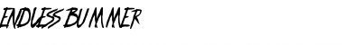 Download ENDLESS BUMMER Font Download ENDLESS BUMMER Font