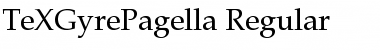 TeX Gyre Pagella&nbsp;Regular