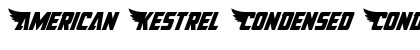 Download American Kestrel Condensed Font
